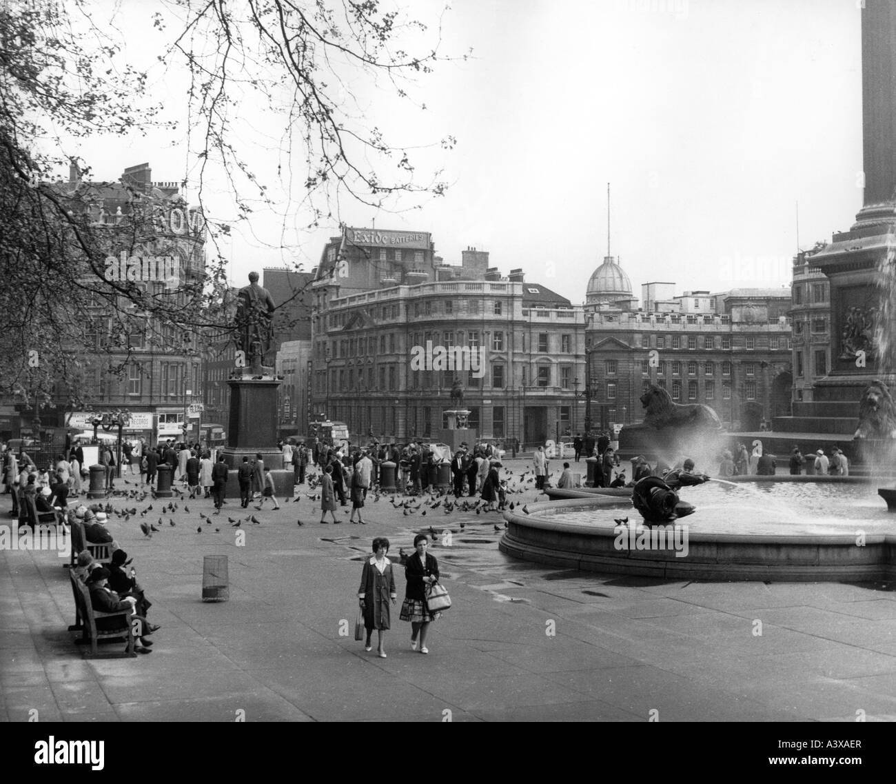 geography / travel, Great Britain, London, squares, Trafalgar Square, 1950s, Stock Photo