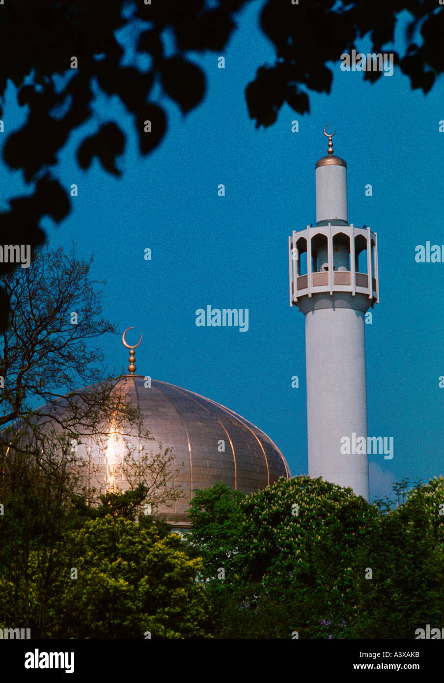 Regents Park Mosque London England Stock Photo