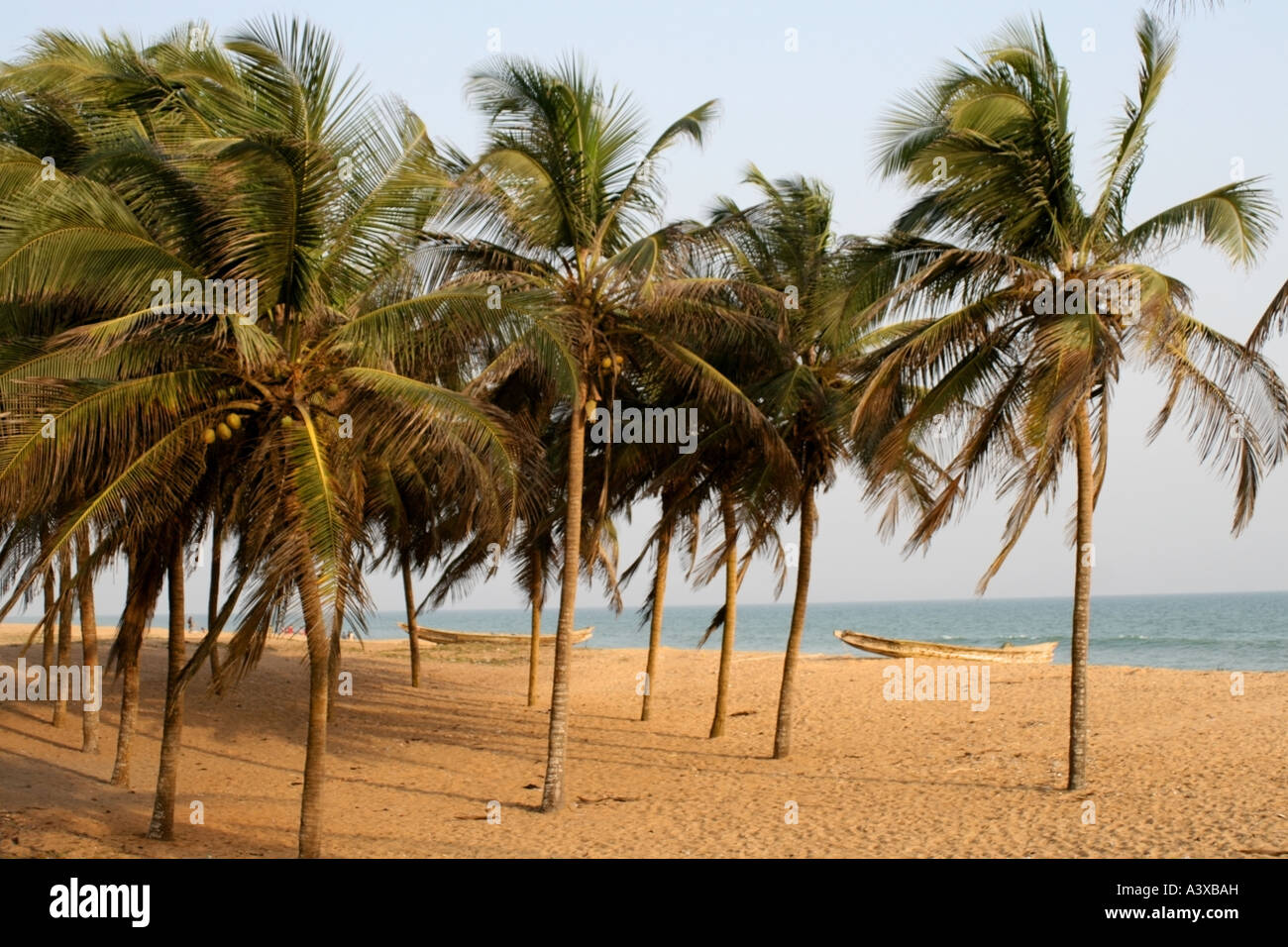 Beach , Ouidah, Benin Stock Photo