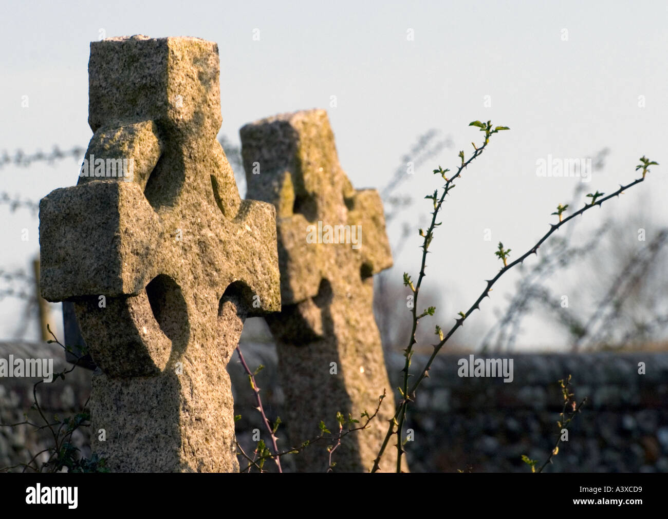 headstones in graveyard Stock Photo Alamy