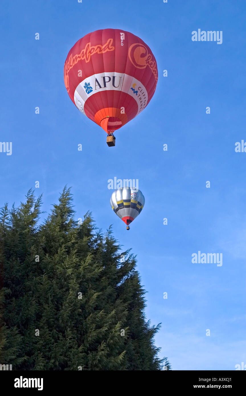 HOT AIR BALLOONS ABOVE TREE Stock Photo - Alamy