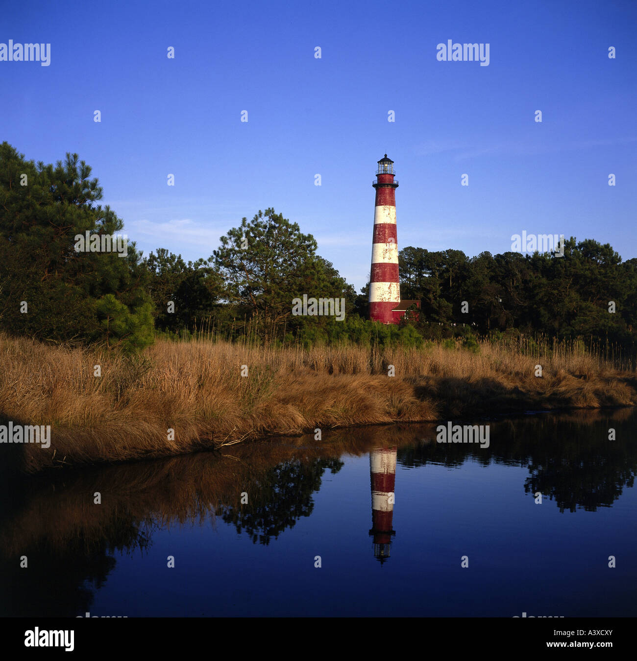 geography / travel, USA, Virginia, Assateague Island, Chingoteague