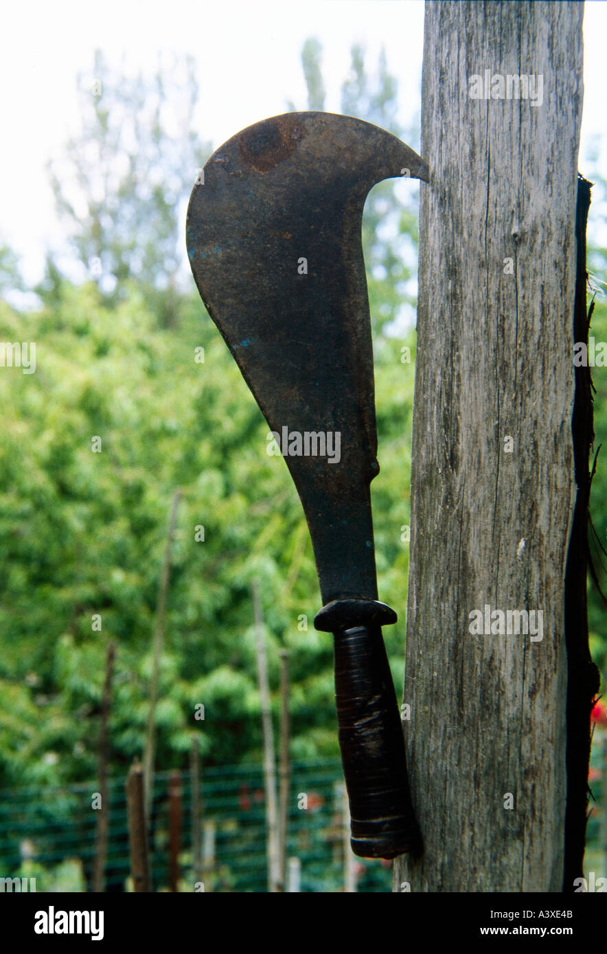 Pruning hook hires stock photography and images Alamy