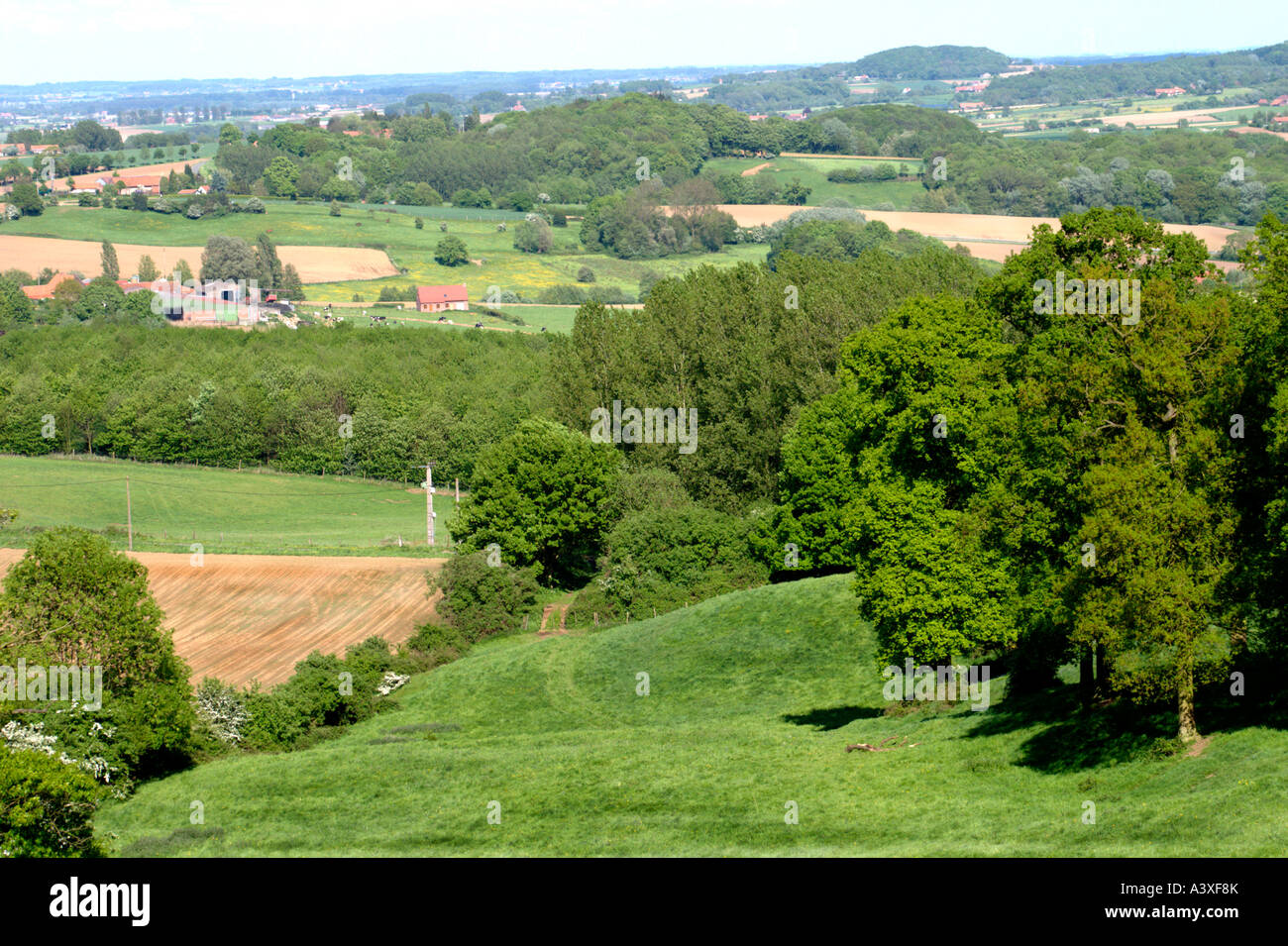 Archetypal rural  view looking across French Flanders valley from Mont des Cats towards the Belgian border. Stock Photo