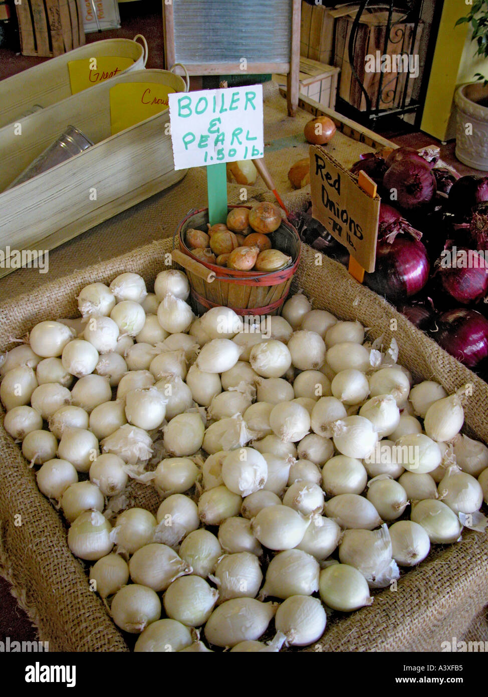 Eating produce pearl onions l for humans for sale in the southern