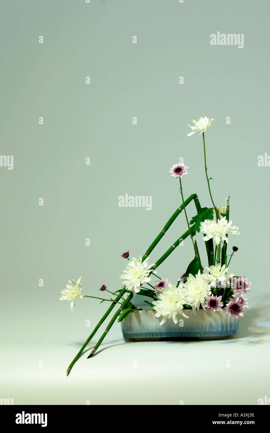 Japanese Flower Arrangement Stock Photo Alamy
