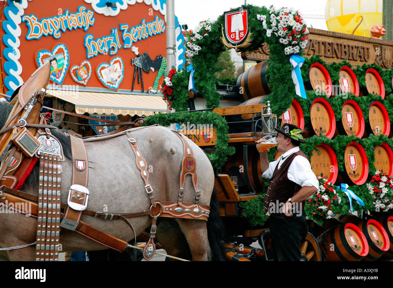 harnessed horse team at Oktoberfest in Munich Stock Photo