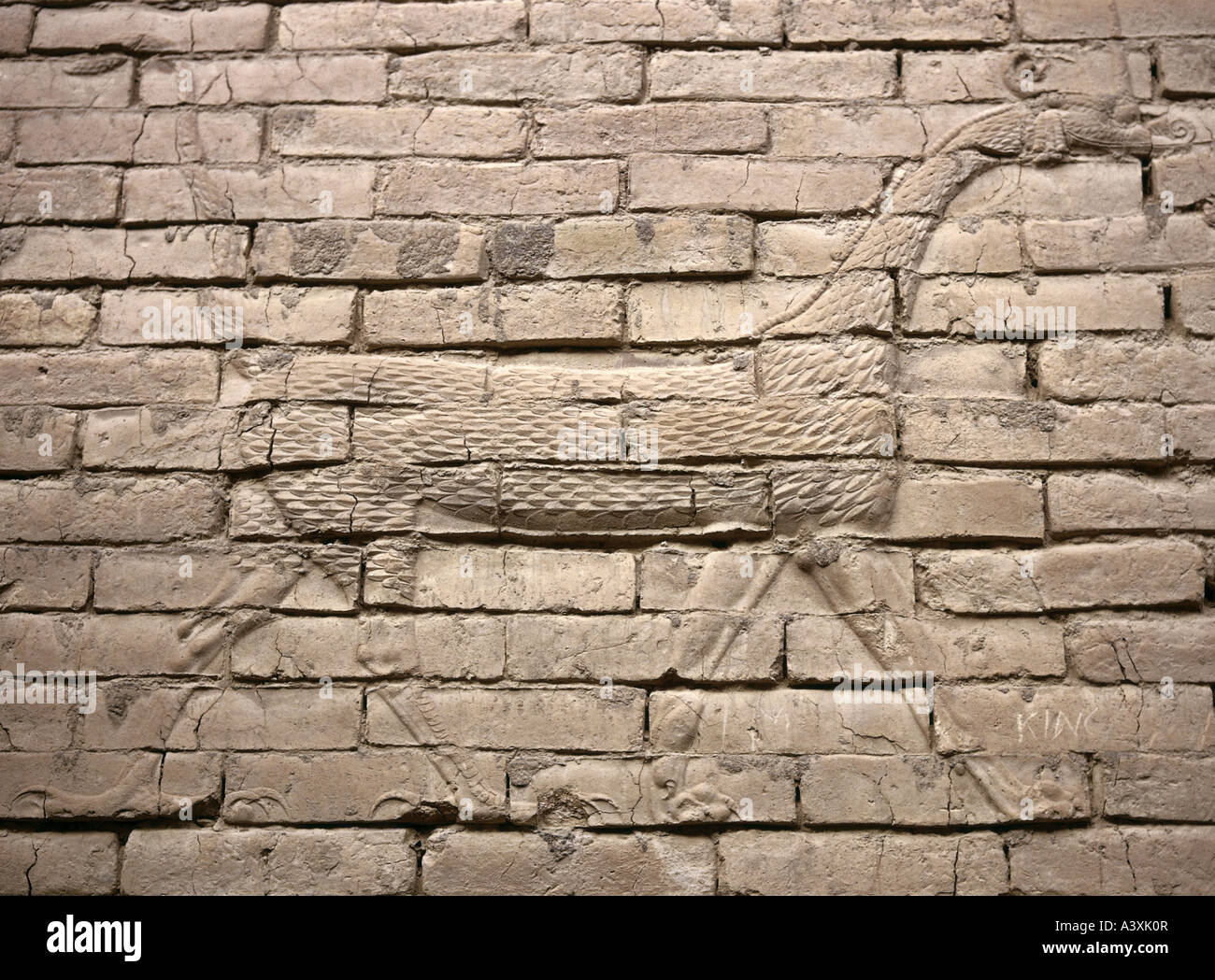 fine arts, Mesopotamia, Babylonia, relief, creature Mushushshu, personification of god Marduk, Ishtar Gate, Babylon, early 6th c Stock Photo