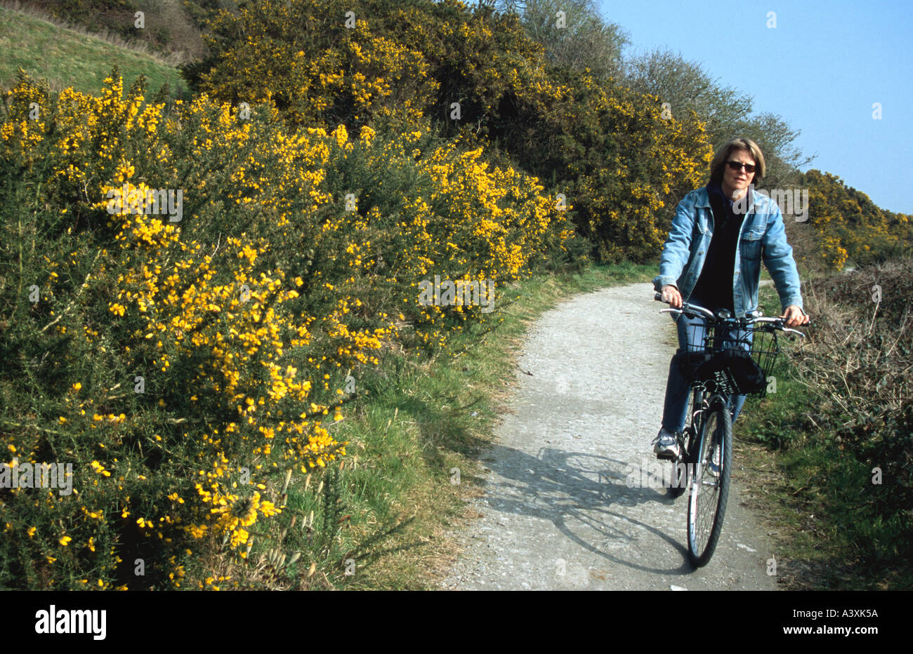 Woman 40 45 yrs cycling Sustrans National Cycle Route No2 outside Rye East Sussex England Britain UK Kim Paumier MR Stock Photo