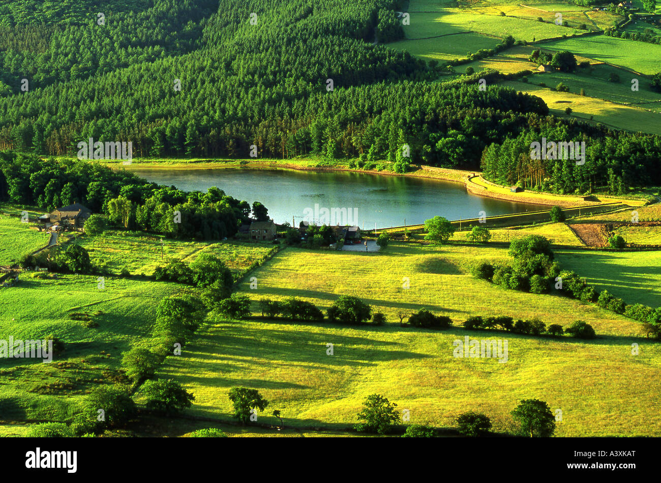 Ridgegate Reservoir and Macclesfield Forest in Summer, Near Macclesfield, Cheshire, England, UK Stock Photo