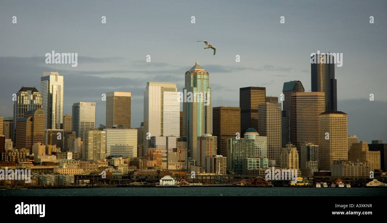 Seattle Washington from Puget Sound Stock Photo Alamy