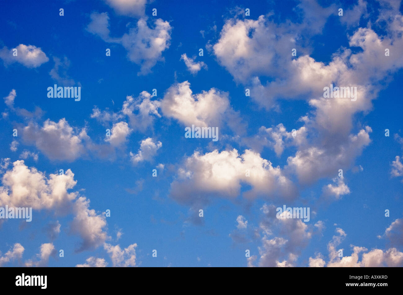 Cumulus Clouds Stock Photo
