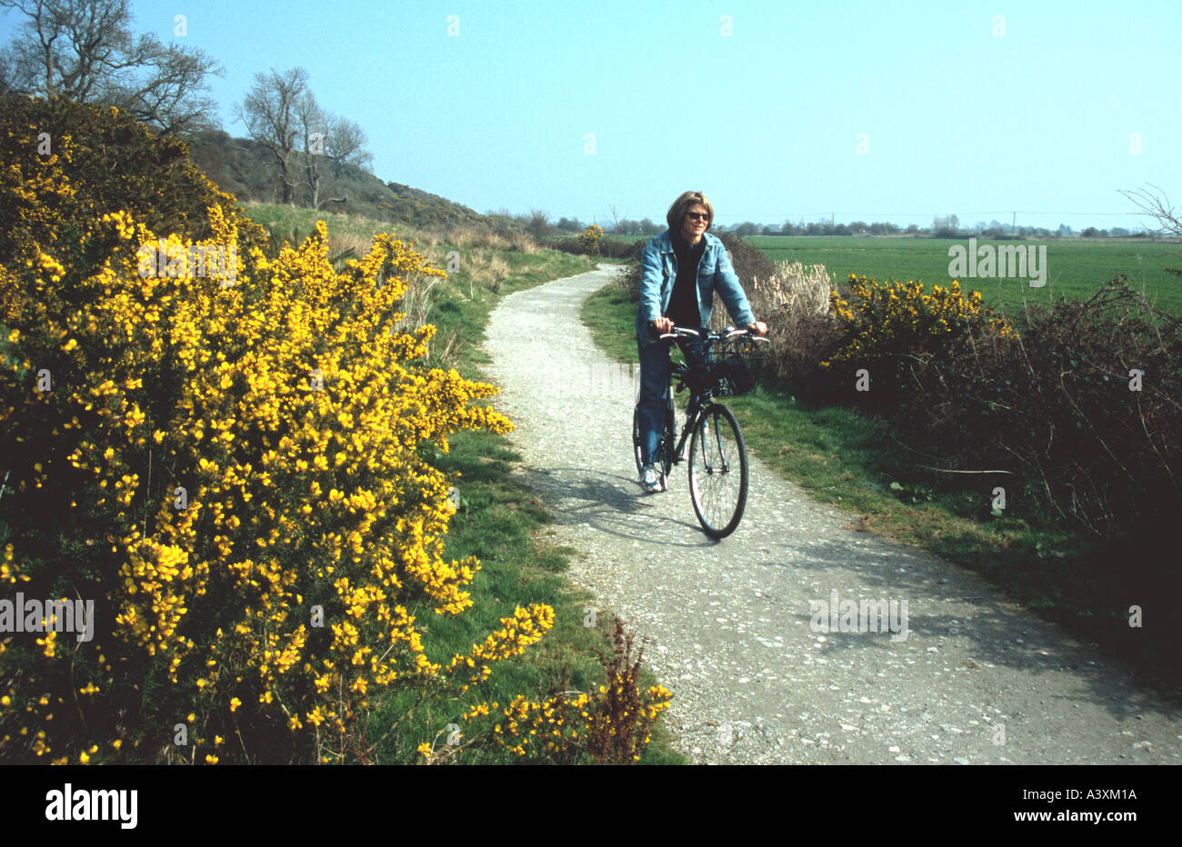 Woman 40 45 yrs old cycling Sustrans National Cycle Route No2 outside Rye East Sussex England Britain UK Kim Paumier MR Stock Photo