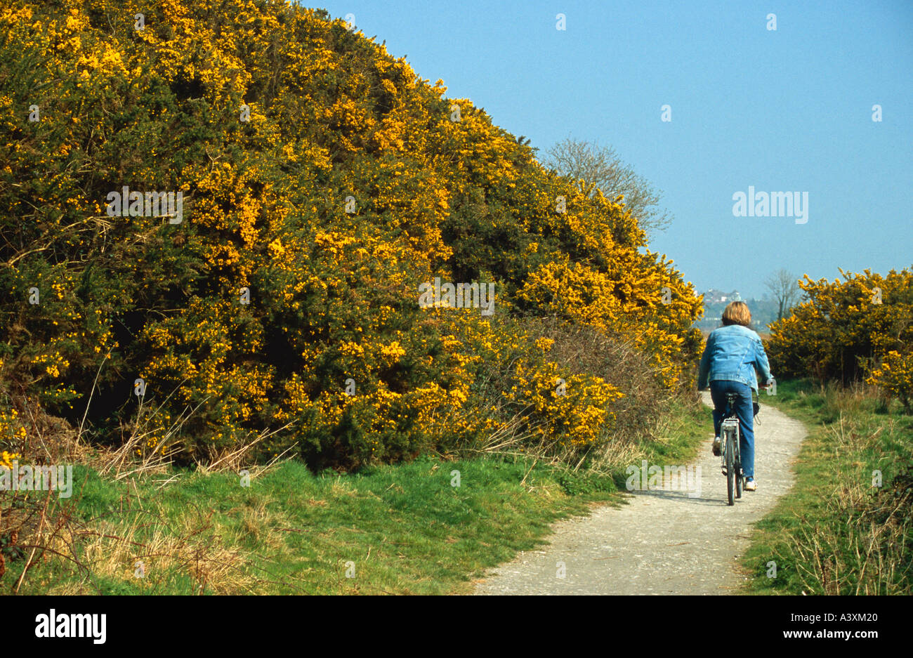 Woman 40 45 yrs old cycling Sustrans National Cycle Route No2 outside Rye East Sussex England Britain UK Kim Paumier MR Stock Photo