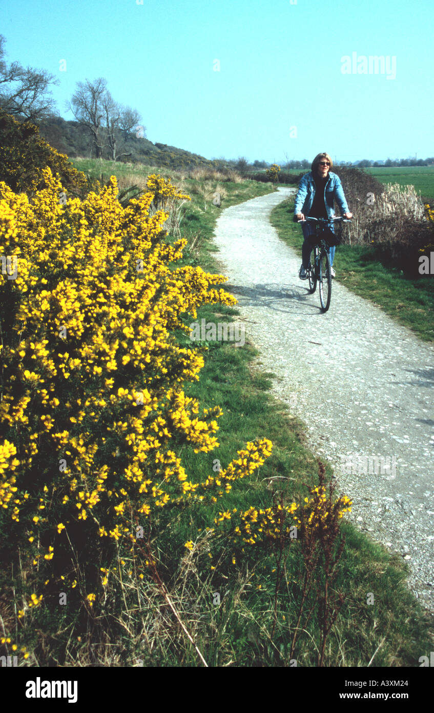 Woman 40 45 yrs old cycling Sustrans National Cycle Route No2 outside Rye East Sussex England Britain UK Kim Paumier MR Stock Photo