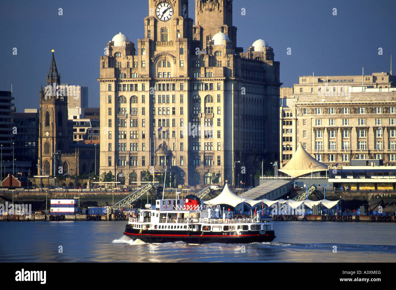 Mersey Ferry Crossing the River Mersey in Front of the Liver Building, Liverpool, Merseyside, England, UK Stock Photo