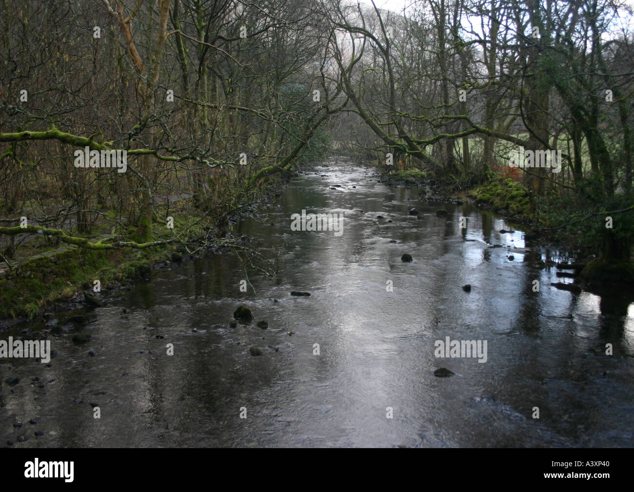 River Rothery Lakedistrict UK Landscape River Rothay Stock Photo - Alamy