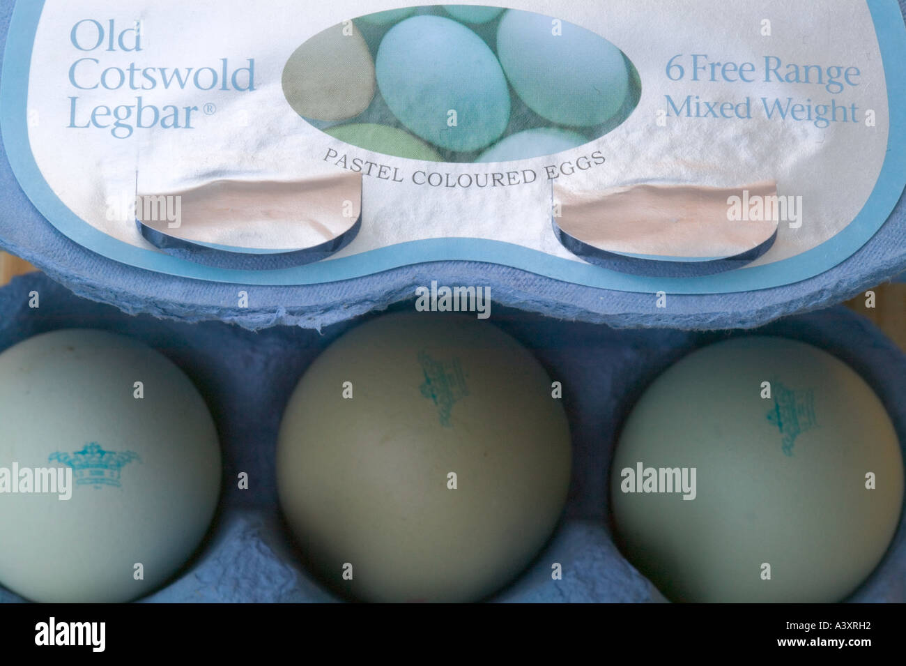Old Cotswold Legbar, rare breed free range eggs Stock Photo Alamy