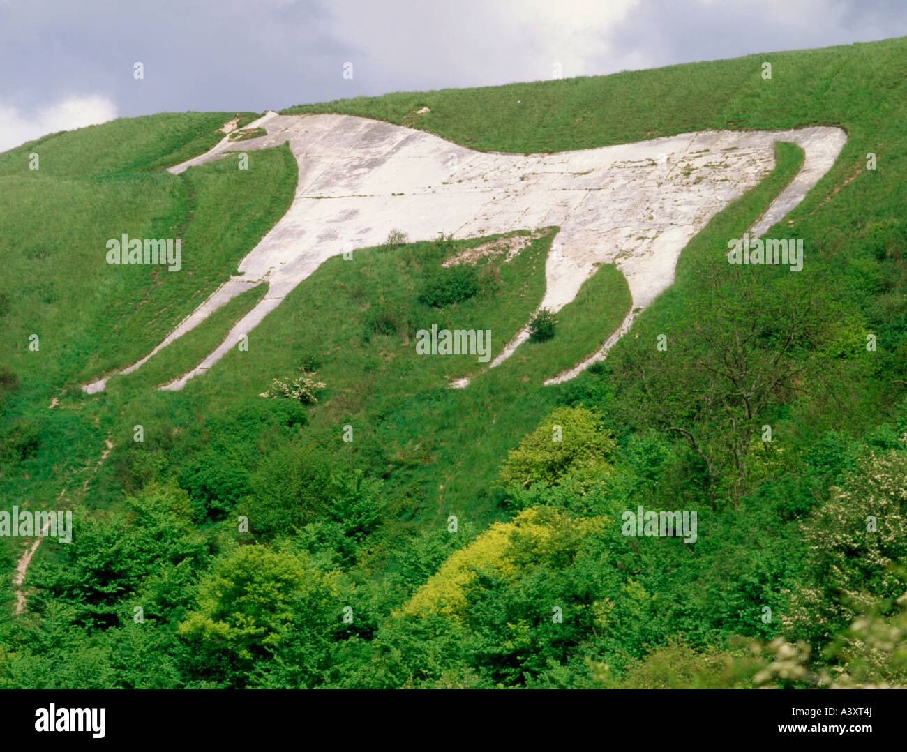 England. Wiltshire. Westbury White Horse Stock Photo