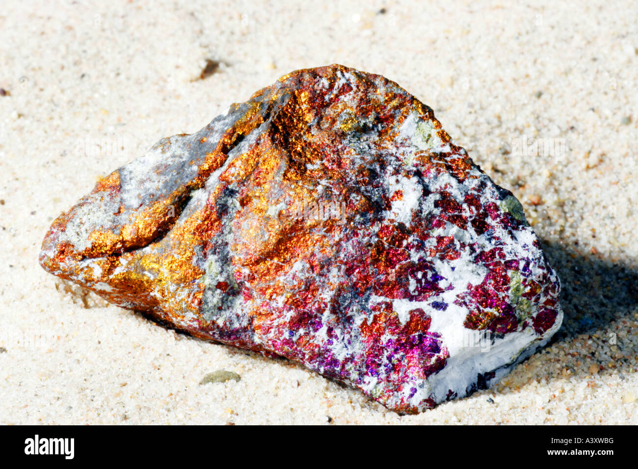 Copper glance mcphoto horizontal hires stock photography and images