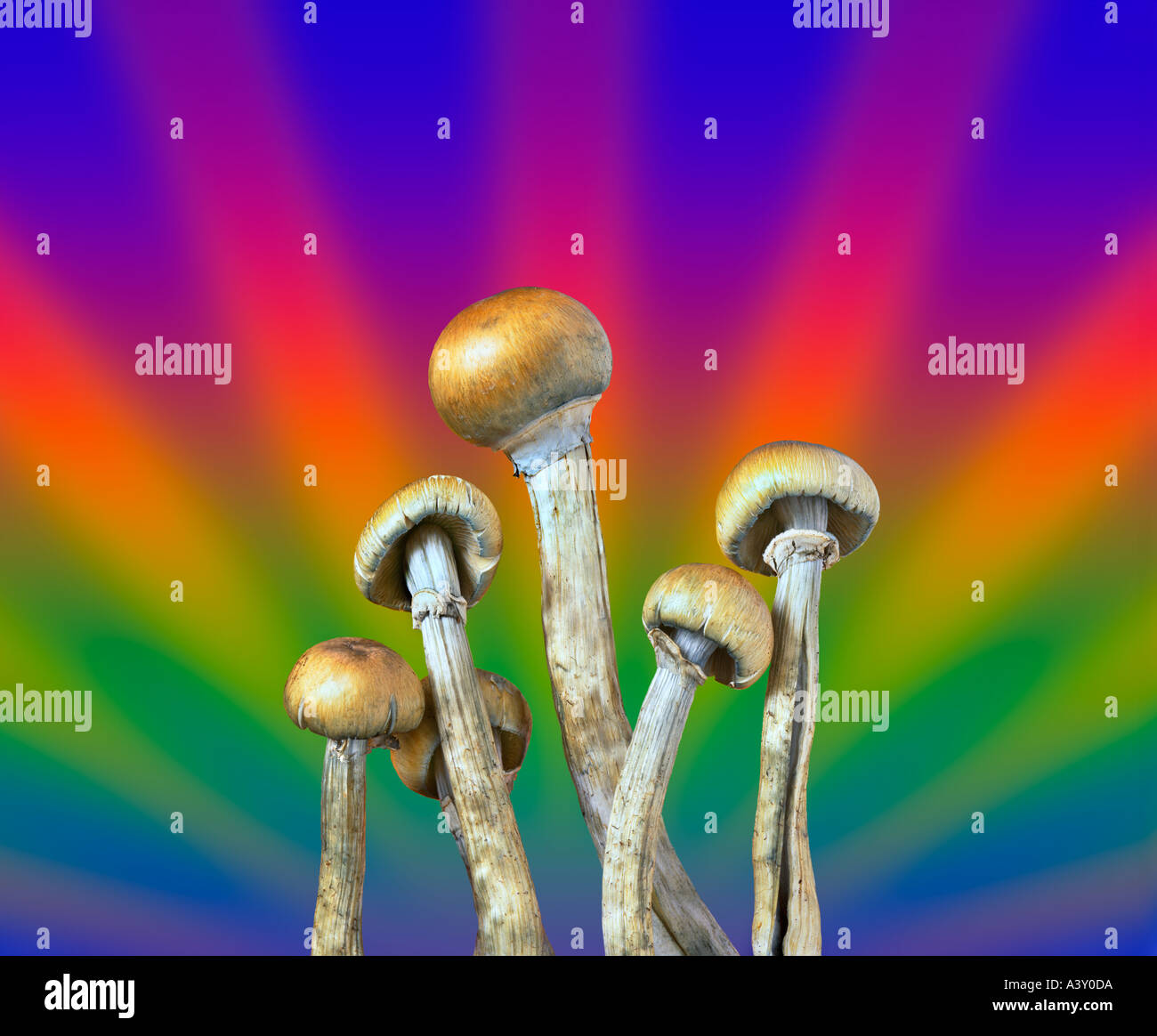 Hallucinogenic drugs hires stock photography and images Alamy