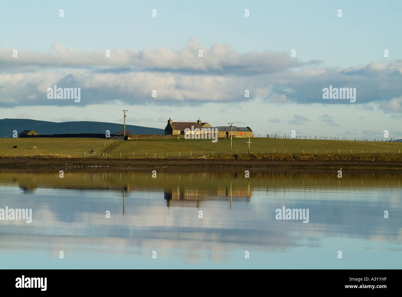 dh Bay of Firth FIRTH ORKNEY Farm on Holm of Grimbister island cottage croft remote house scotland Stock Photo