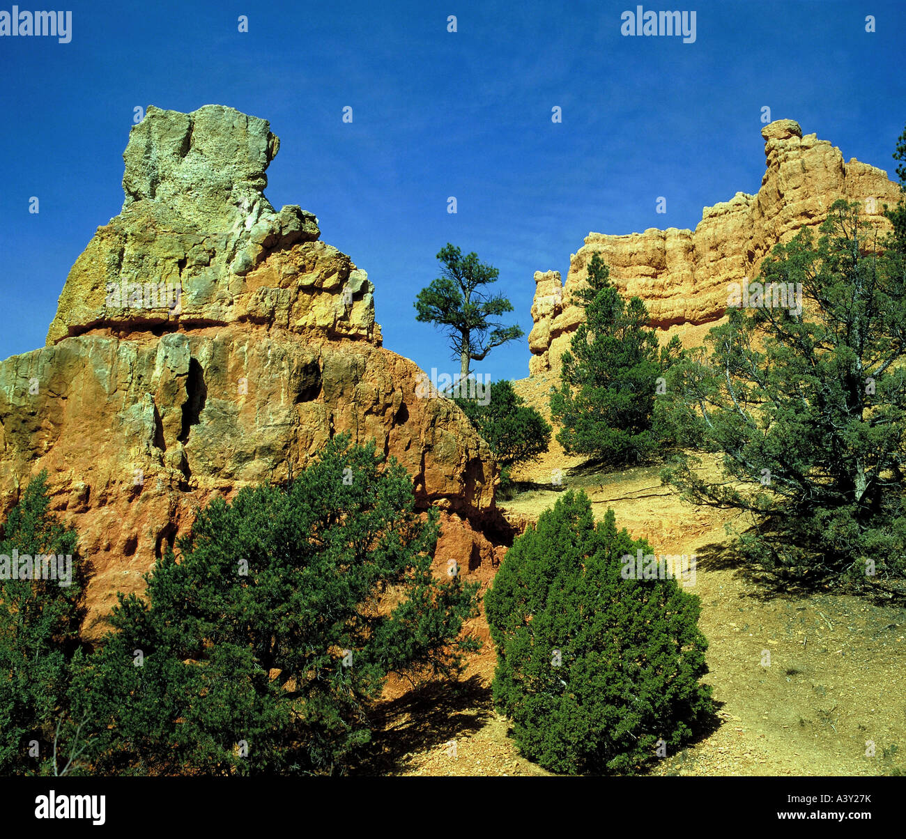 Strange Utah Rocks weird rock formations, USA, Utah, Red Canyon NP Stock Photo - Alamy