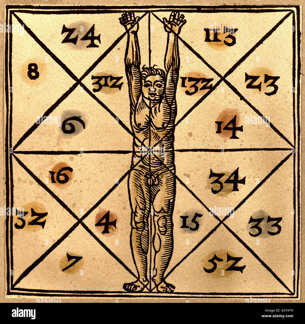 superstition, magic rows of numbers, macrocosmic correspondents to body parts and internal organs, colour woodcut, from textbook of occult medicine, Germany, second half 16th century, private collection, historic, historical, Europe, esotericism, occultism, magic, number, macrocosmos, human, organ, people, Stock Photo