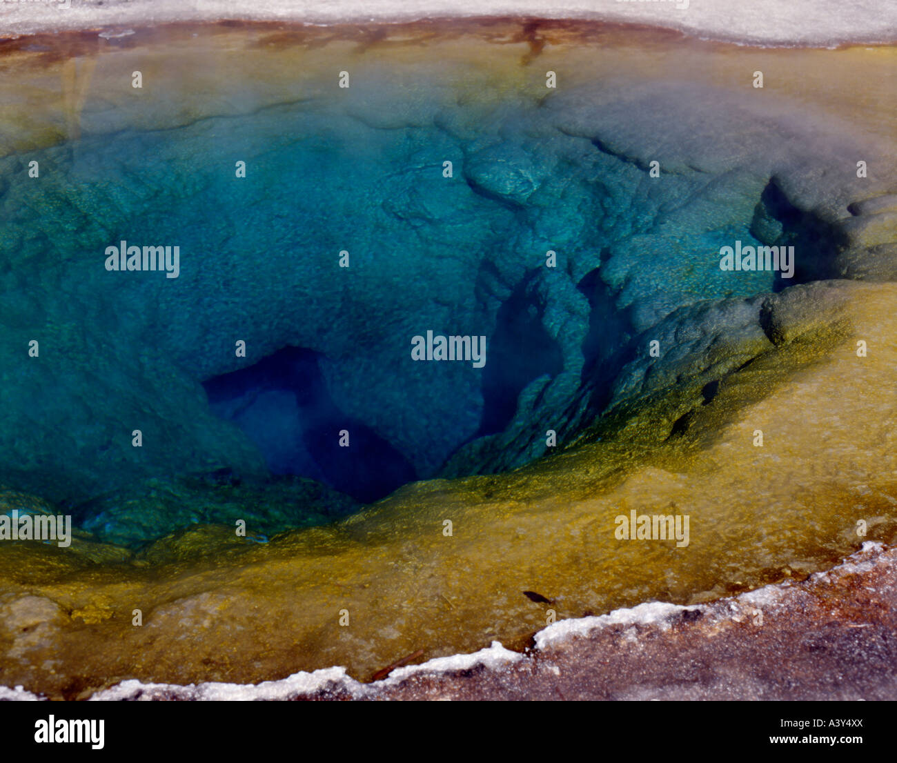 Morning Glory Pool in Yellowstone National Park is a visitors favorite Stock Photo