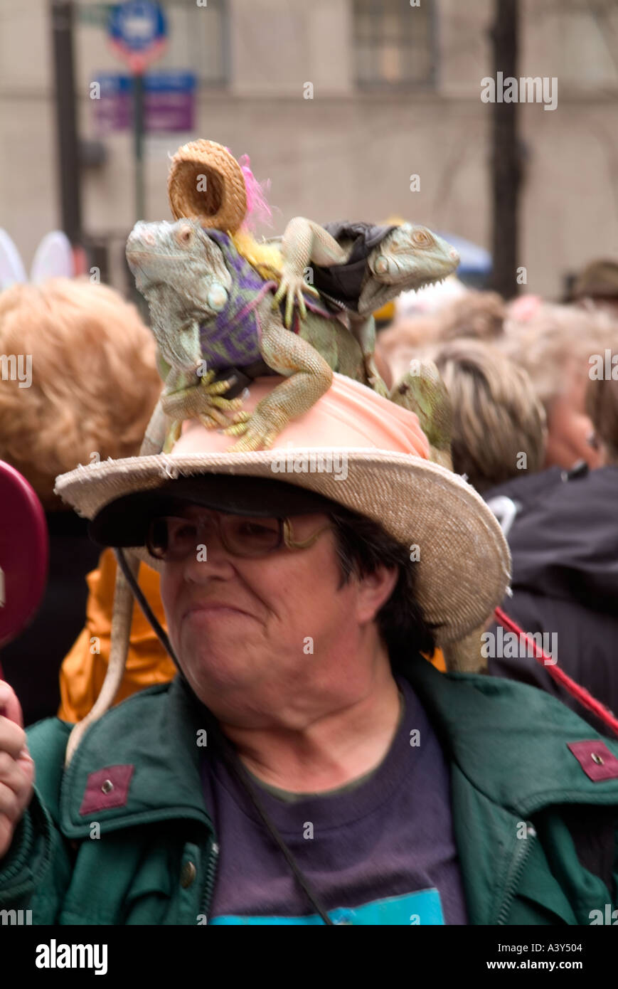 Reportage Easter parade New York City portrait lizard on straw hat in ...