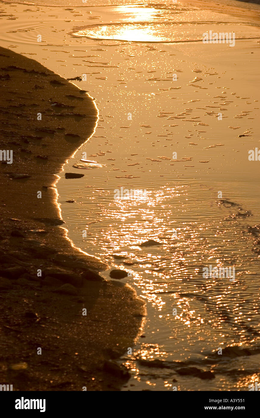 cost in Turkey Stock Photo Alamy