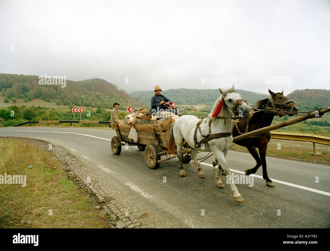 horse and cart Romania Stock Photo - Alamy