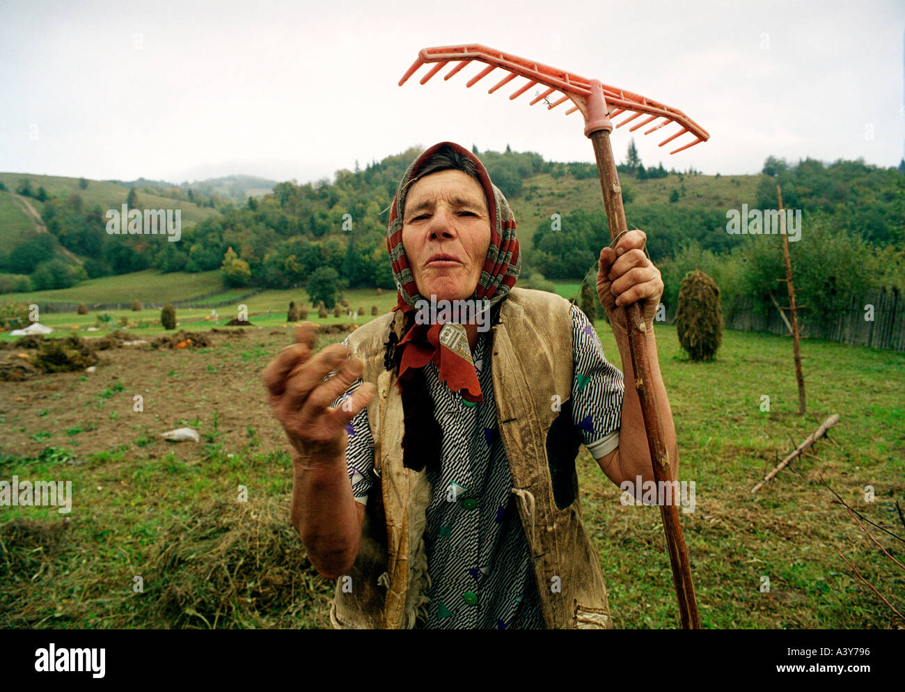 woman farmer holding a rake on her farm in Romania Stock Photo - Alamy