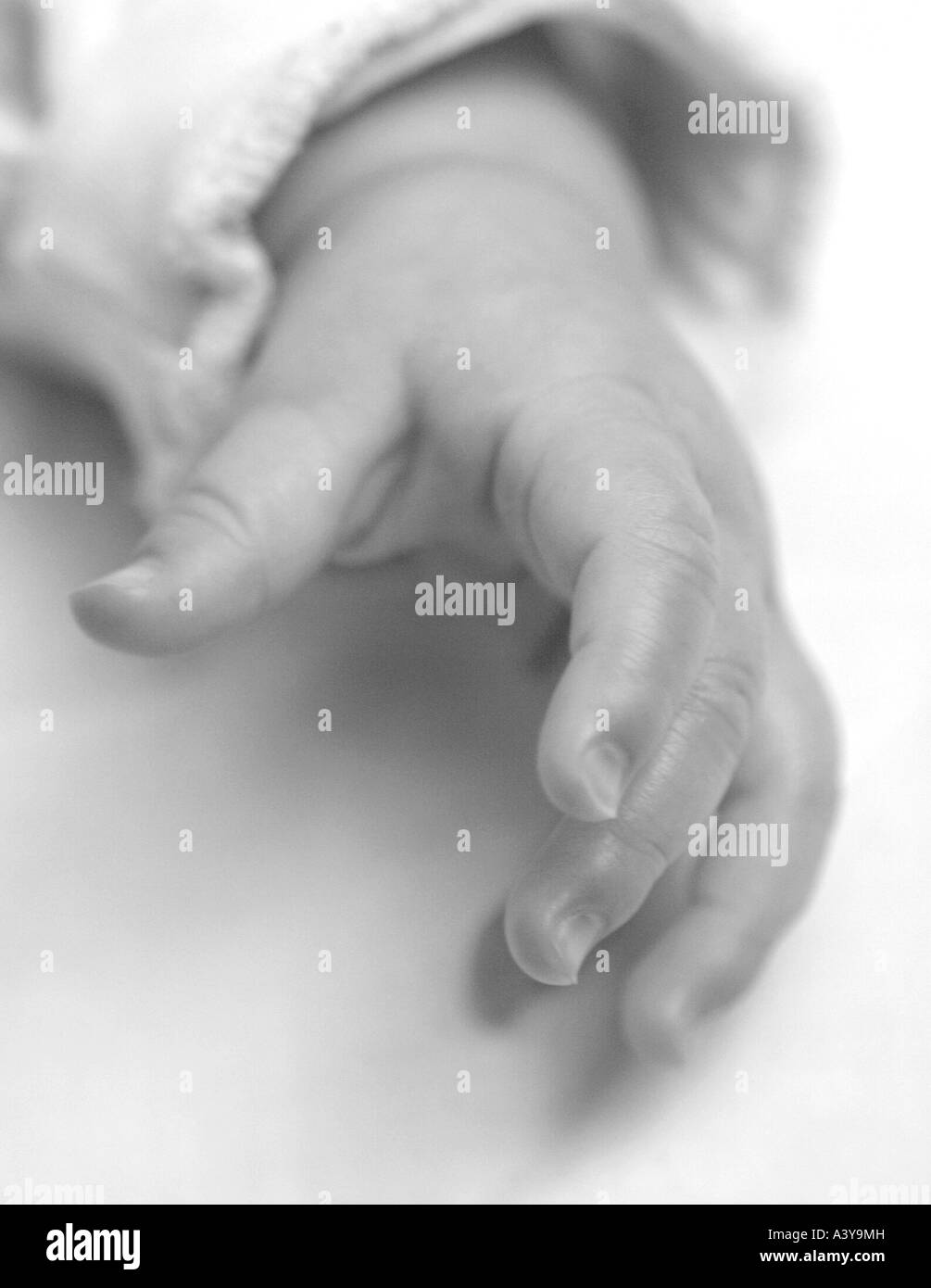 people, human beings, humans (Homo sapiens sapiens), baby's hand Stock Photo