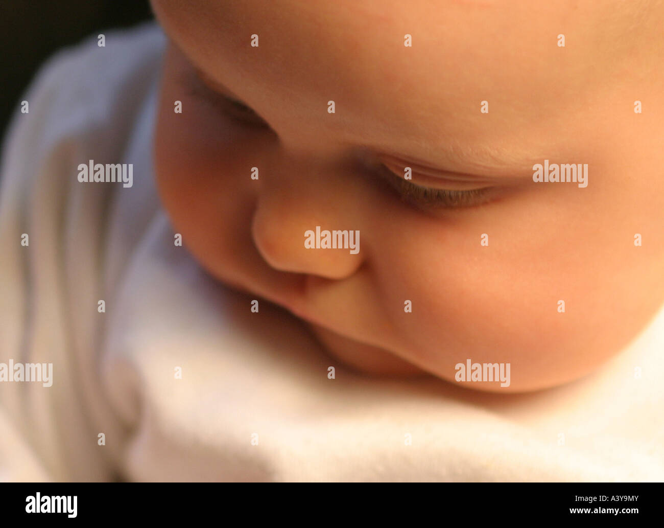 people, human beings, humans (Homo sapiens sapiens), baby with chubb cheeks Stock Photo
