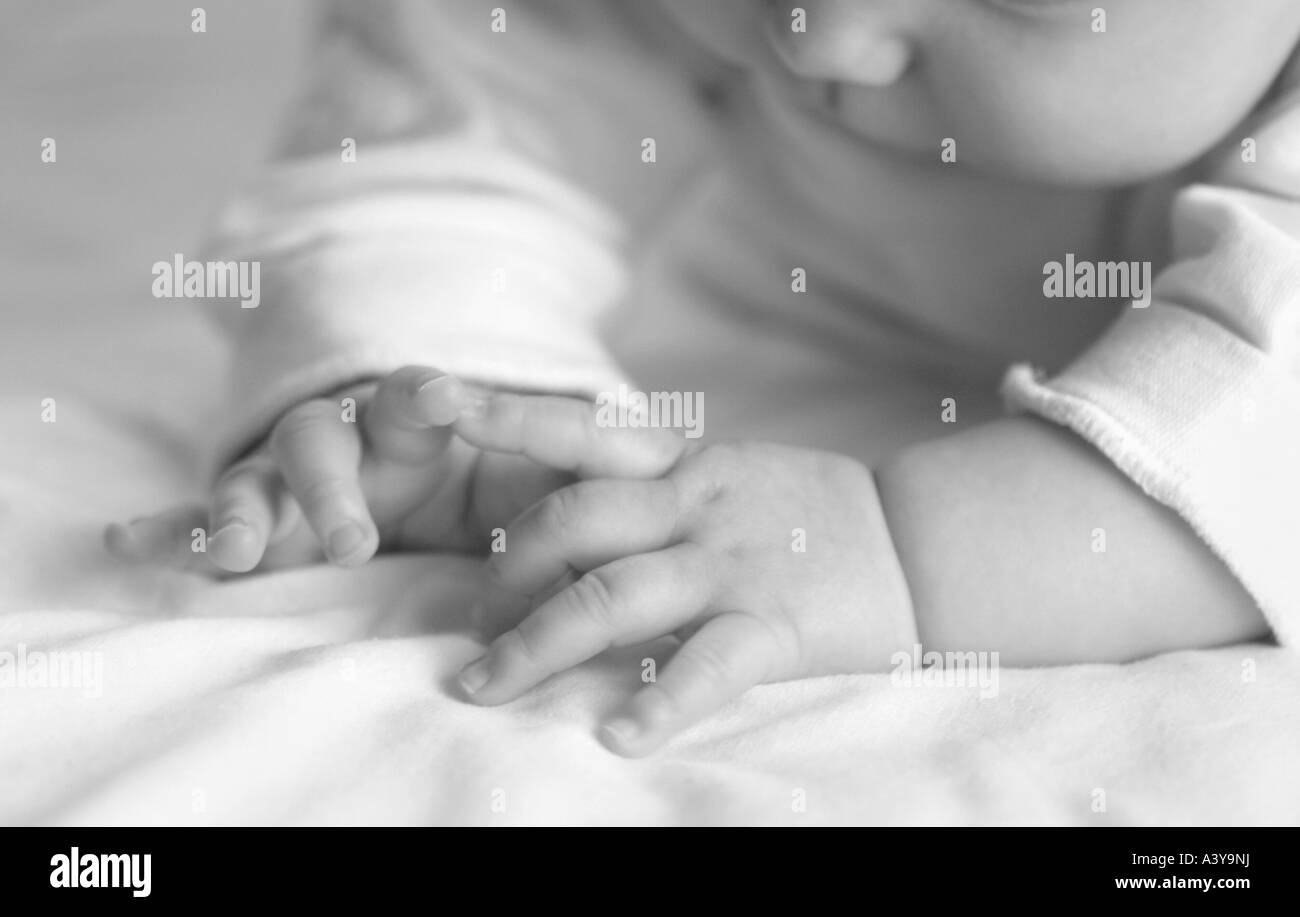people, human beings, humans (Homo sapiens sapiens), baby's hands Stock Photo