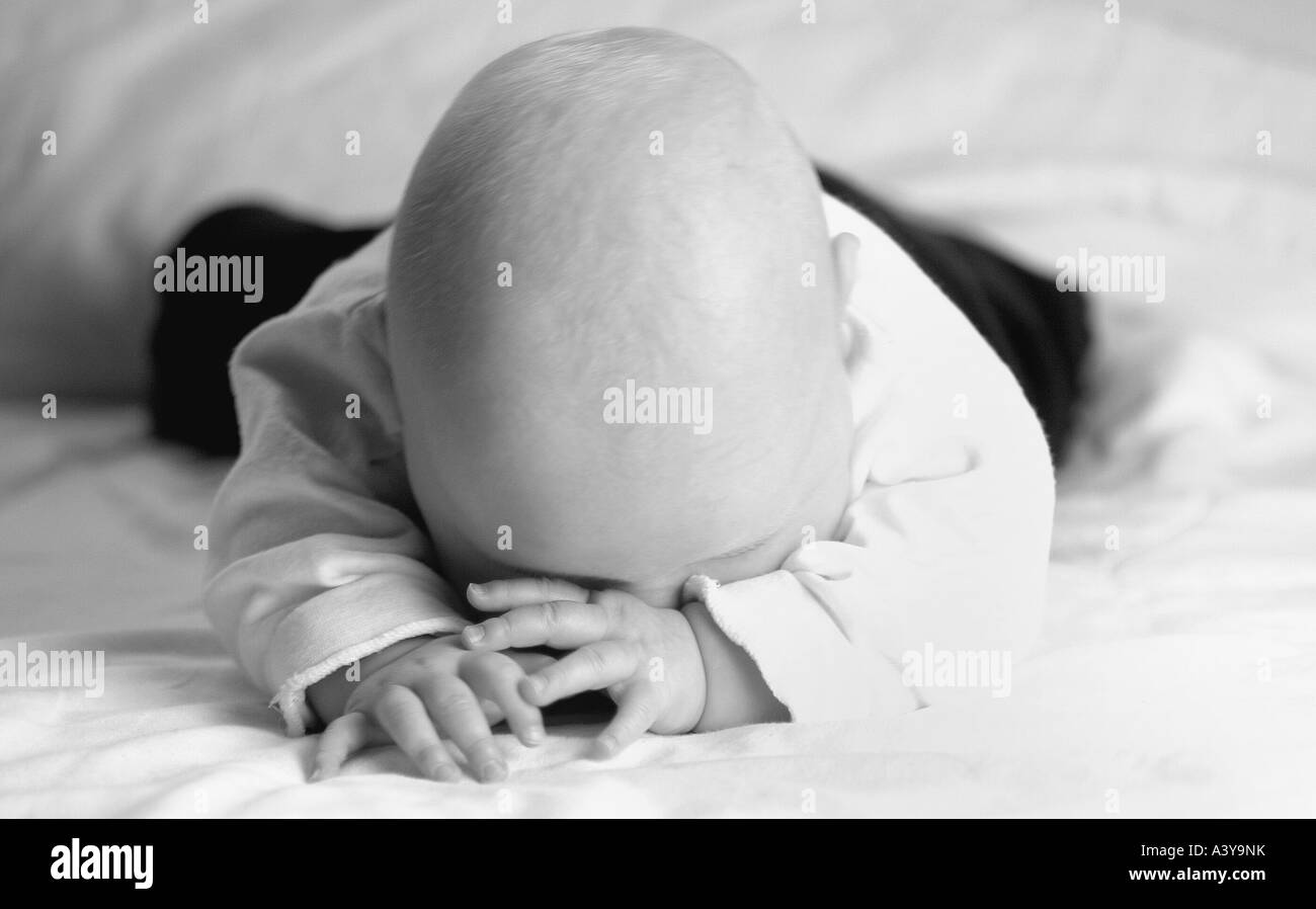 people, human beings, humans (Homo sapiens sapiens), baby lying on belly Stock Photo