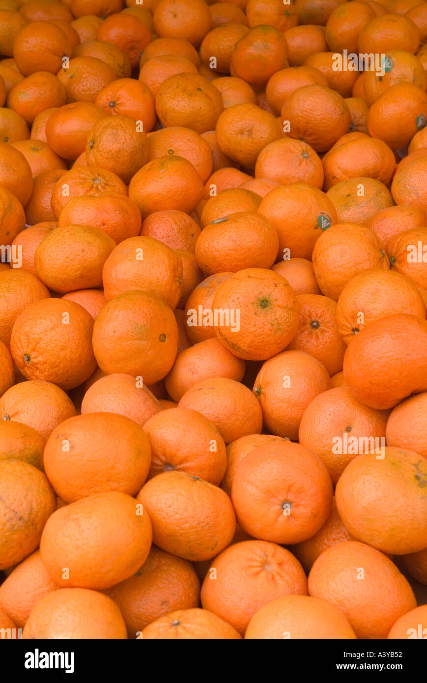 Farm oranges on display Stock Photo Alamy