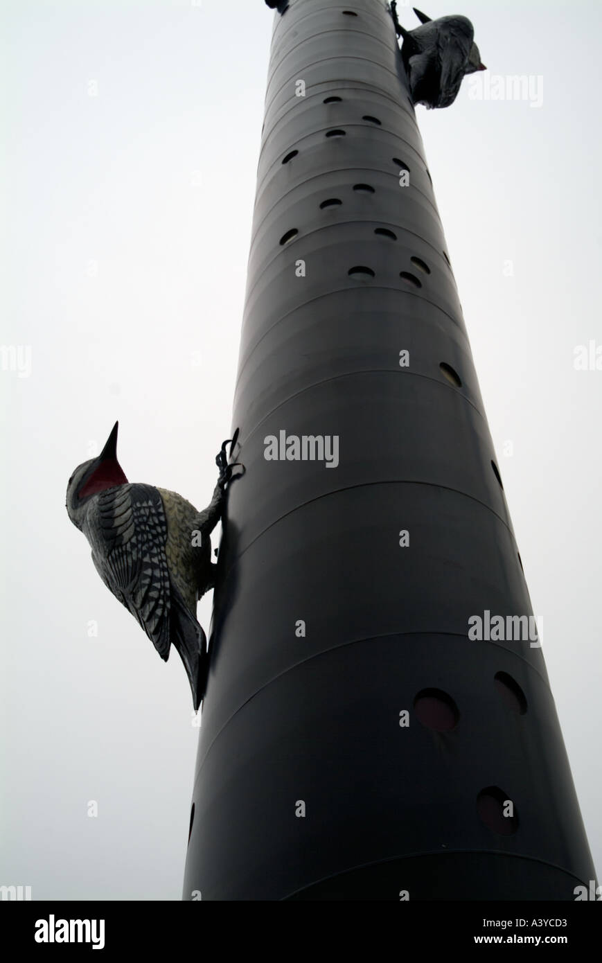 Two birds on a Pole steel structures downtown Toronto Canada North America  Stock Photo - Alamy