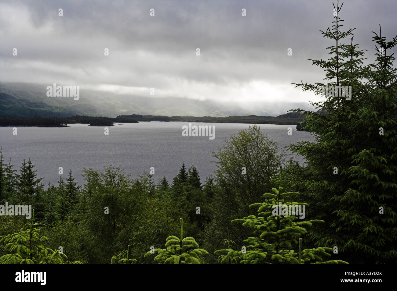 Loch Maree, West Scottish Highlands with pine trees in foreground and moody grey skies. Stock Photo