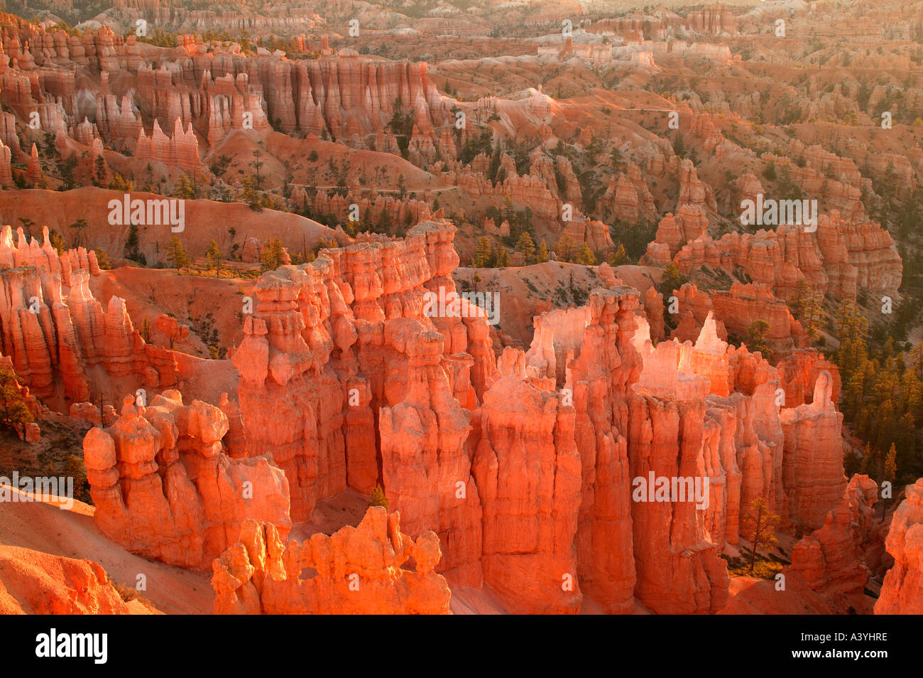 Bryce National Park at sunrise from Sunset Point Utah Stock Photo Alamy