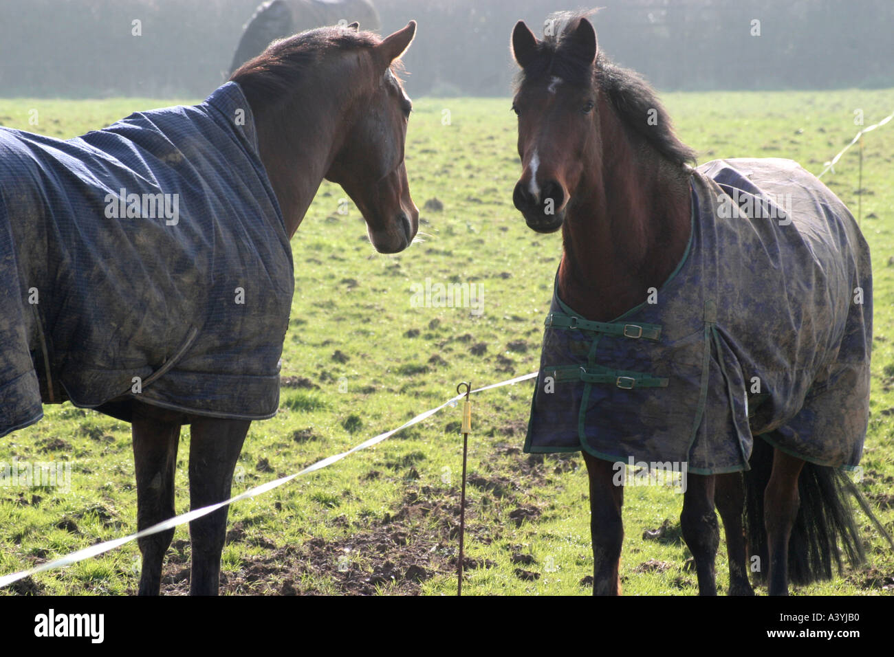 Posh girl riding High Resolution Stock Photography and Images - Alamy