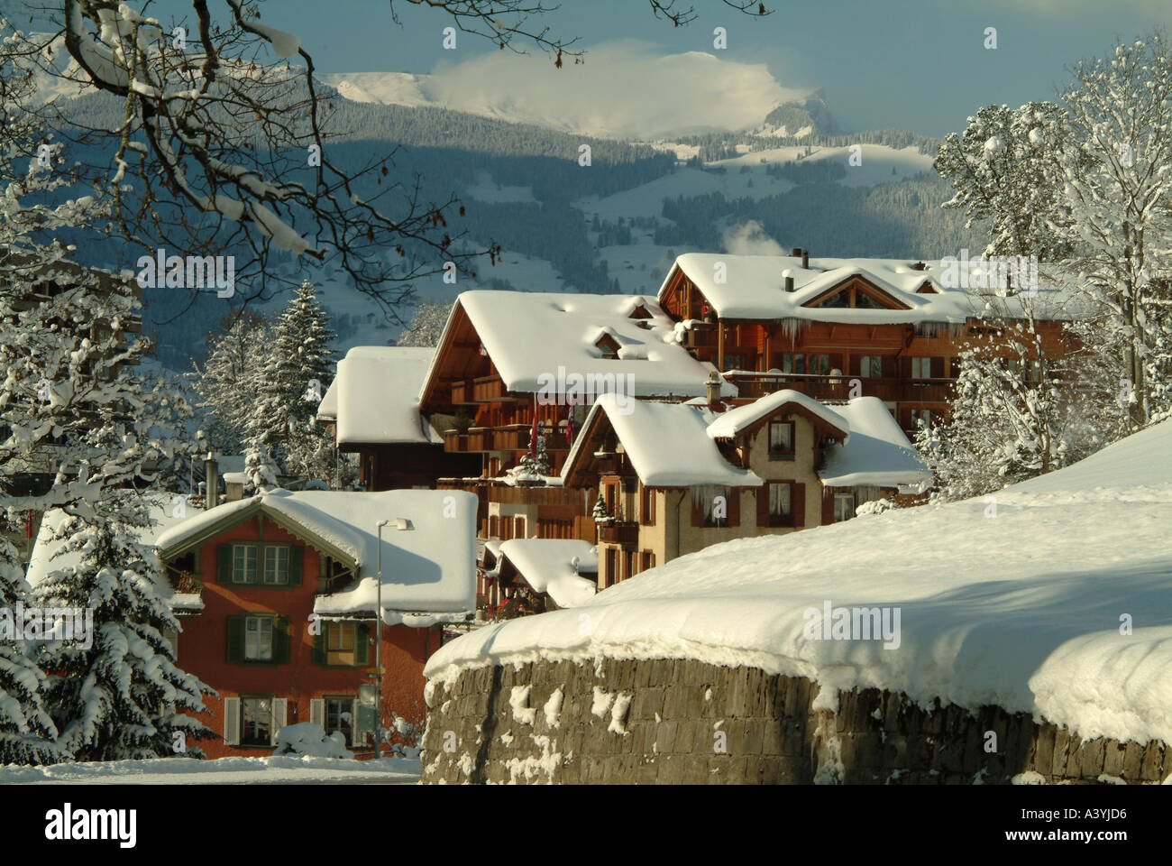 Chalets in snow Grindelwald Jungfrau Switzerland Europe Stock Photo Alamy