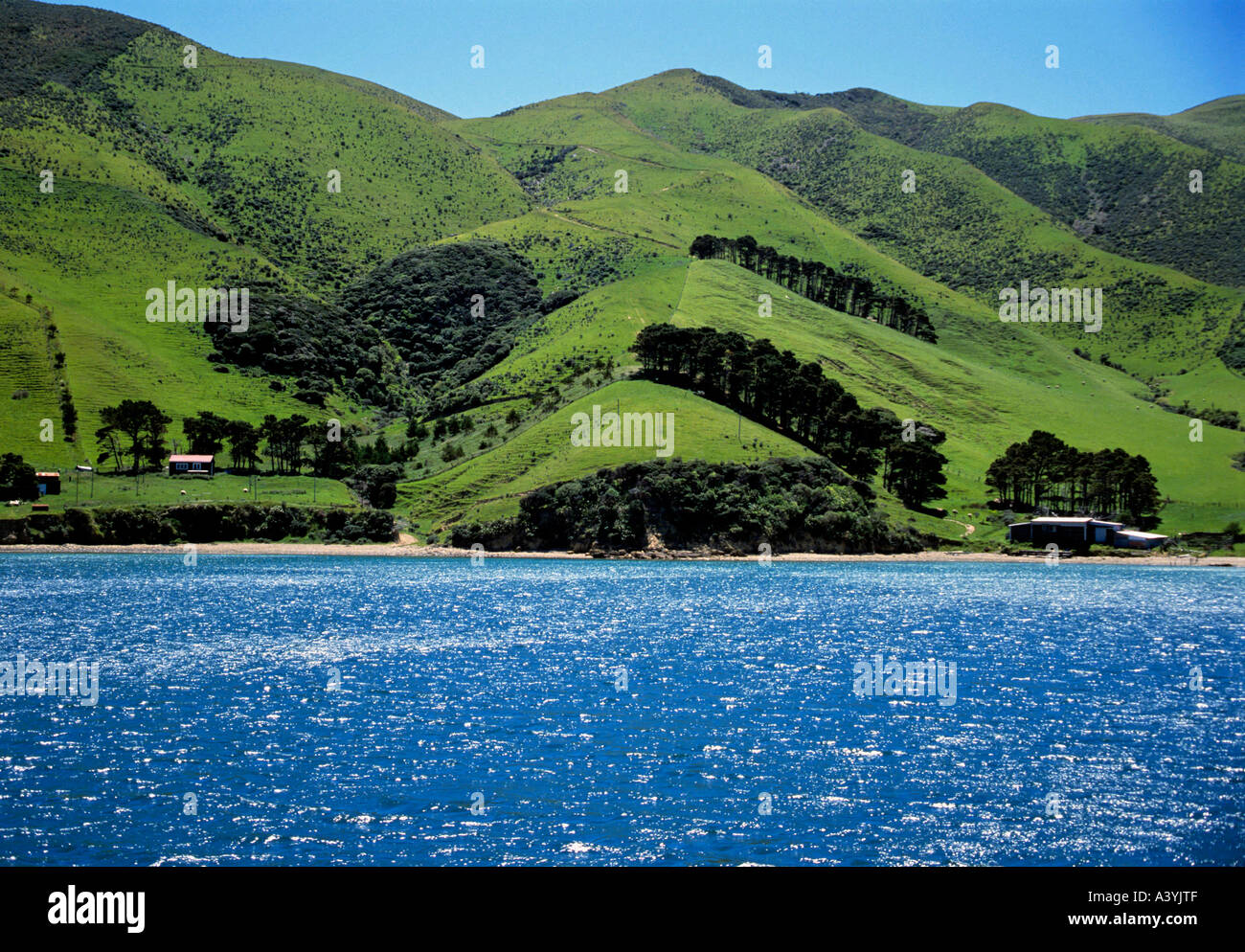marborough sound south island new zealand Stock Photo Alamy