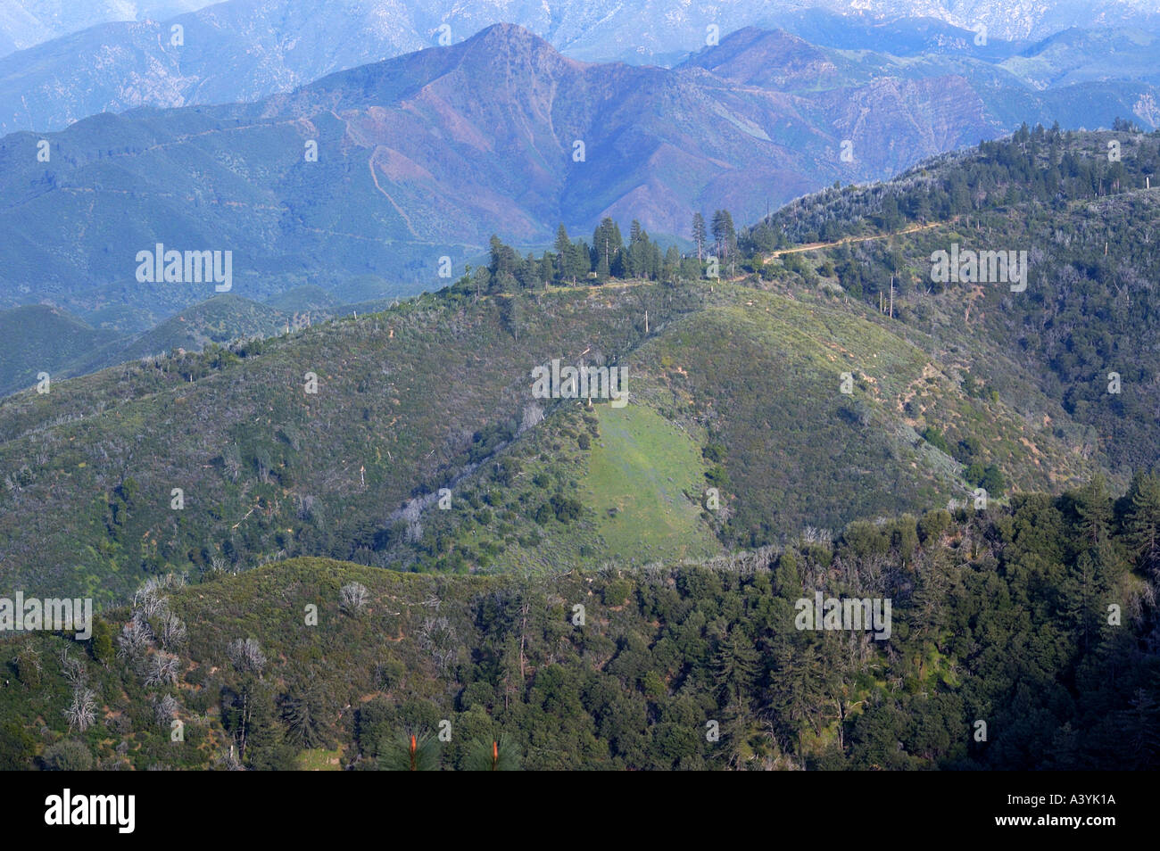 Los Padres National Forest Stock Photo Alamy
