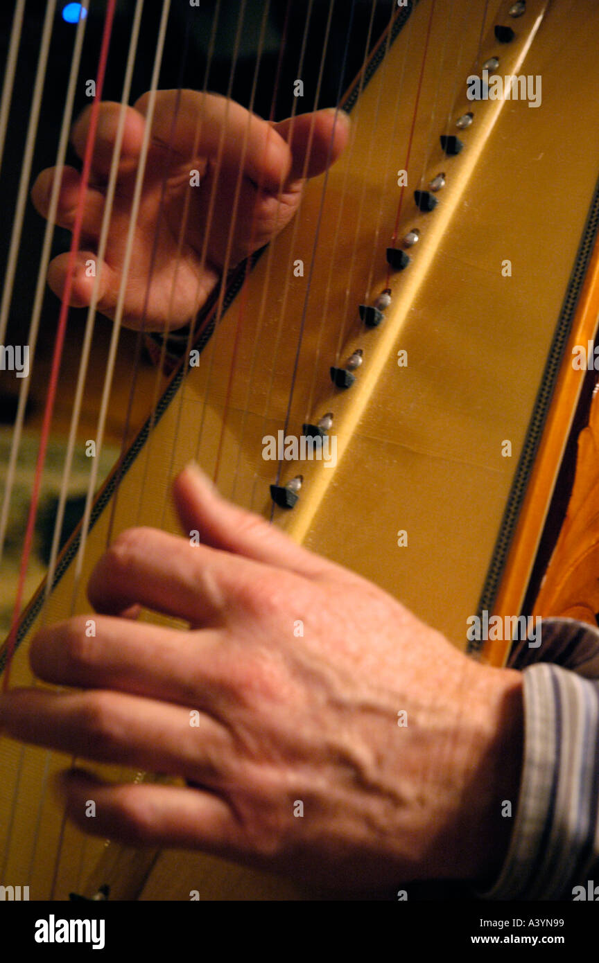 Hands playing harp Male around 50 years old playing paraguayan harp