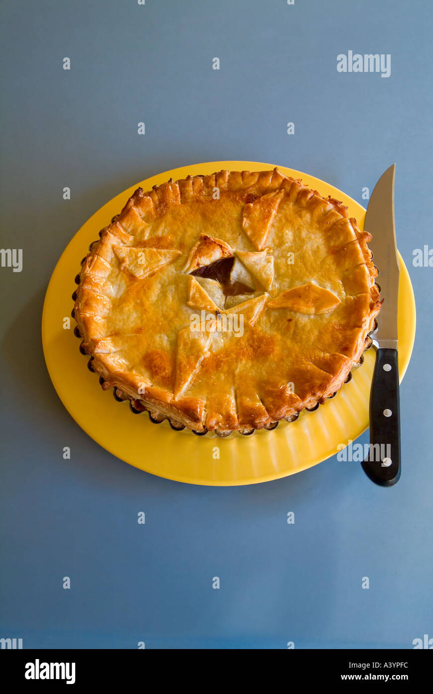 A beef and mushroom pie on a yellow plate Stock Photo