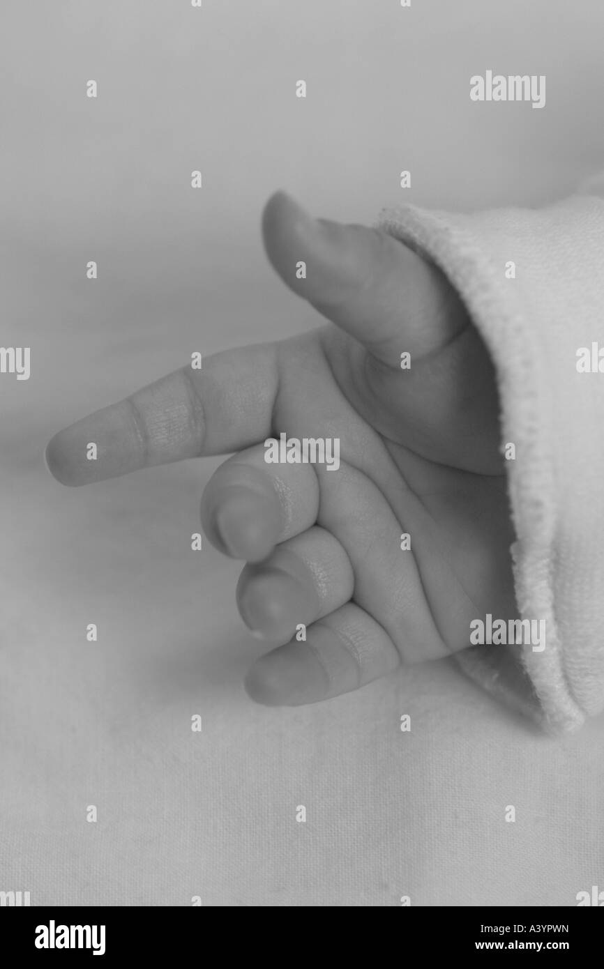 people, human beings, humans (Homo sapiens sapiens), baby's hand Stock Photo
