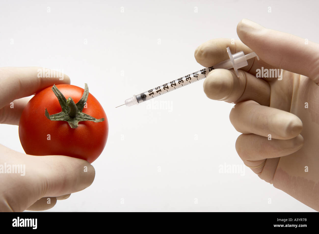 SYRINGE INJECTING CHEMICAL INTO TOMATO Stock Photo