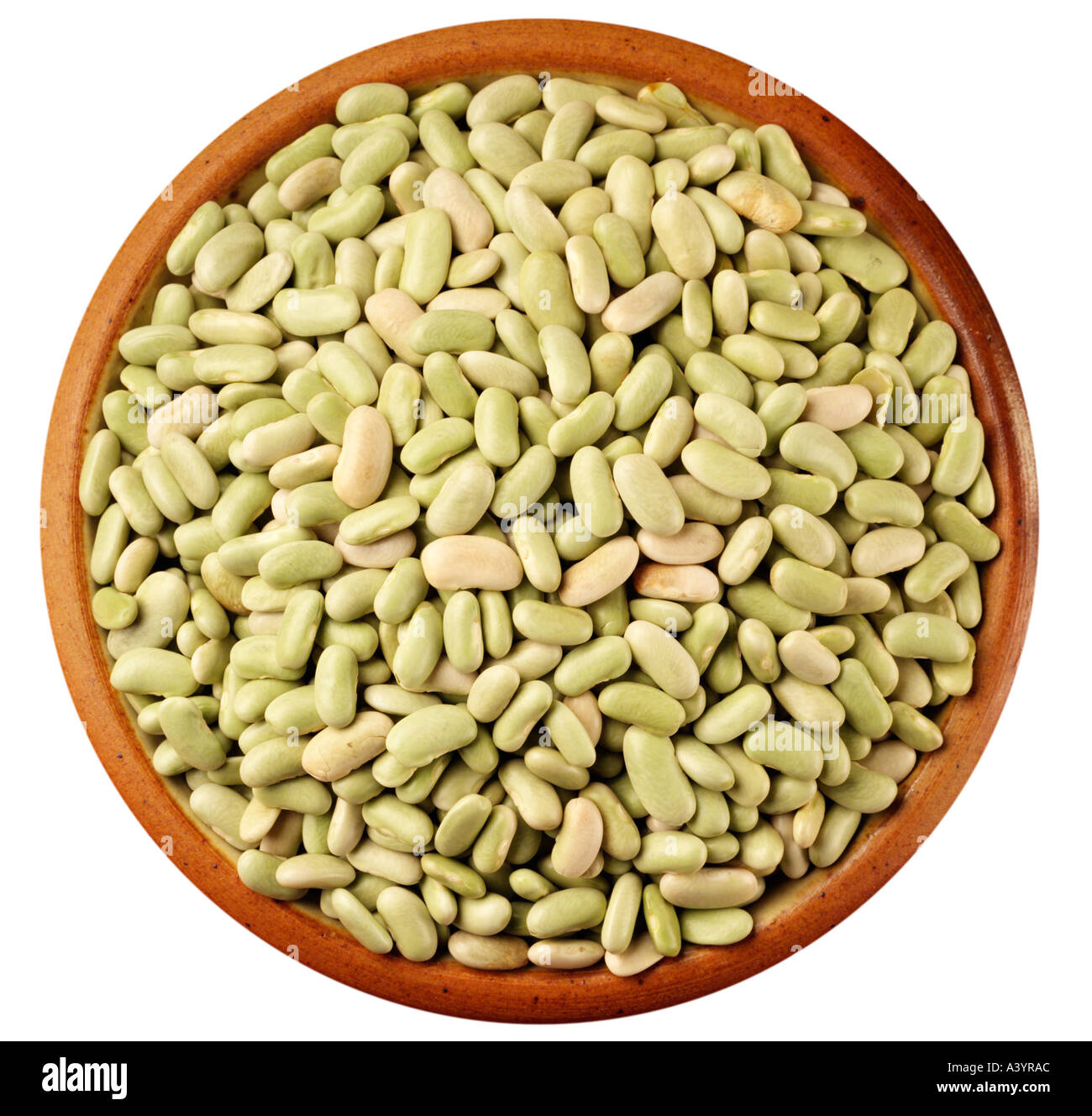 FLAGEOLET BEANS ON WHITE Stock Photo Alamy